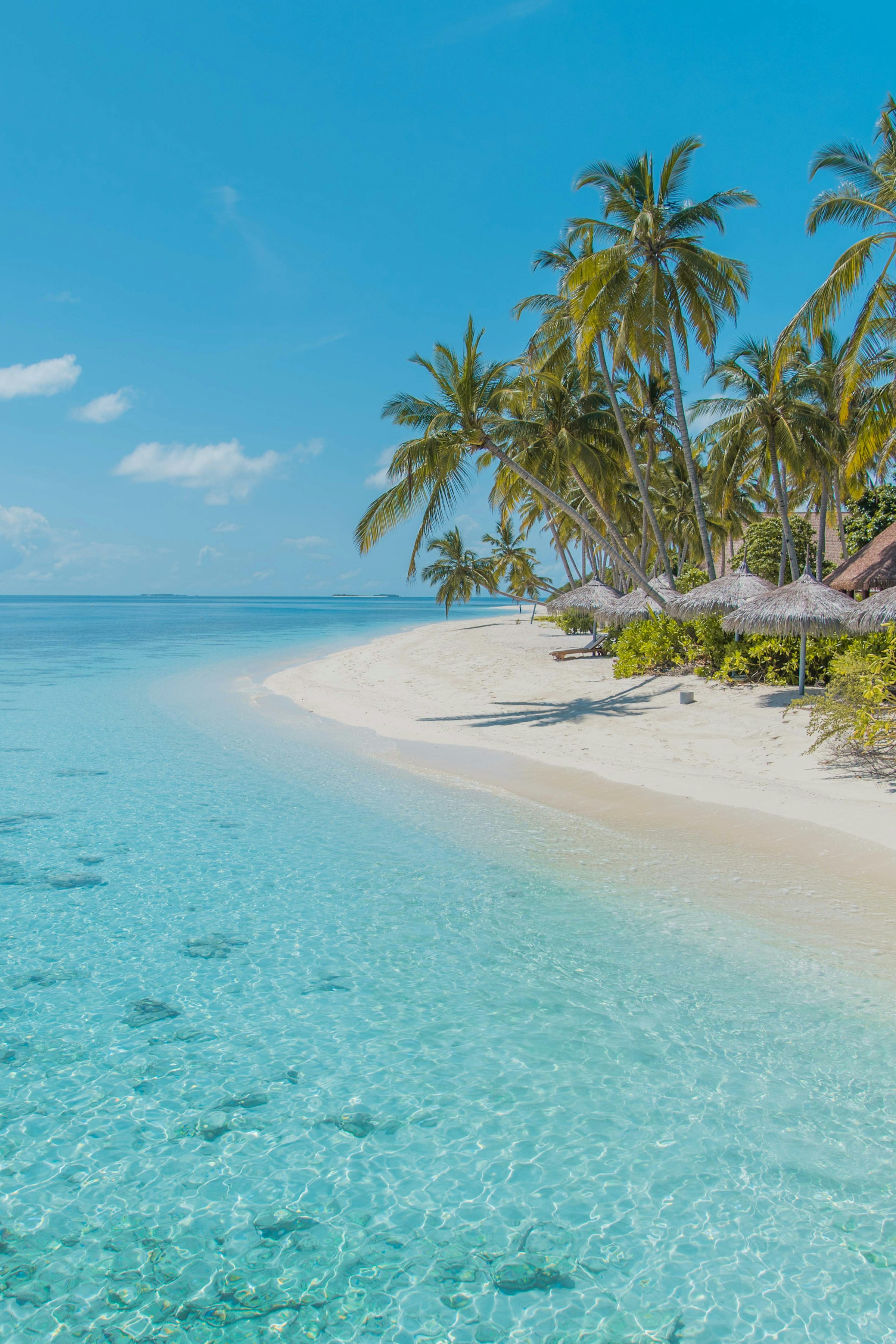 Palm trees, white sand, and turquoise ocean